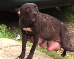 What this emaciated mother does when she spots the rescuers is truly something to see