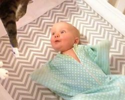 Baby Can’t Contain Her Excitement When The Family Cat Comes In To Say Good Night