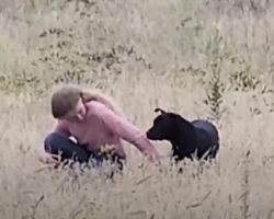 Young ‘Dog Whisperer’ Comes To The Rescue Again in Touching Deja Vu Moment