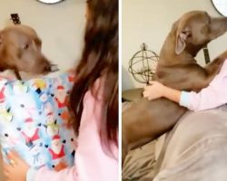 Rescue Dog Thanks Girl For The Gift That Solidifies Their New Life Together