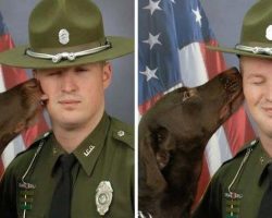 K9 Can’t Resist Showering His Partner With Affection During Photo Shoot
