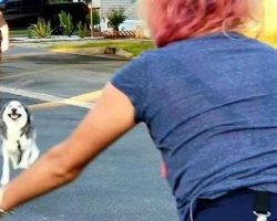 Woman Tearfully Reunites With Husky Stolen From Her Over Two Years Ago