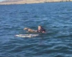 Man Saves Fawn From Drowning In River