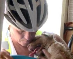 Woman Cycling In Desert Finds Dying Puppy On Road In Middle Of Nowhere