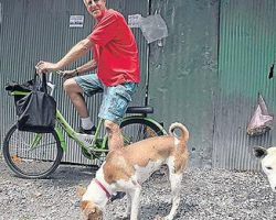 Retired Teacher Known As The ‘Guardian Angel Of Strays’ Helps Homeless Thai Dogs