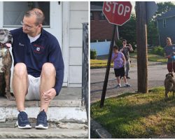 ‘Mellow’s last walk’: Neighbors come out to give terminally ill dog a final farewell