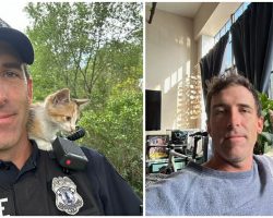 Kitten thrown from vehicle gets adopted by responding police officer