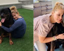 Candace Cameron Bure shares sweet tribute to her late dog Boris: “Our hearts will never get over you”