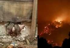 Woman sees teeth sticking out of flames, looks closer and realizes she has just seconds to act