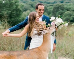 Wild deer crashes a couple’s wedding photoshoot, eats the bride’s bouquet