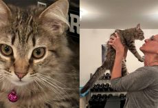 Sarah Jessica Parker reveals she adopted Carrie’s on-screen cat from ‘And Just Like That’