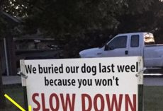 After dog gets hit by car, brutal sign has entire neighborhood talking