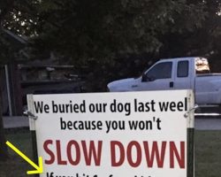After dog gets hit by car, brutal sign has entire neighborhood talking