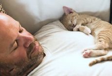 Kitten Becomes Obsessed With His Dad And Does Everything With Him