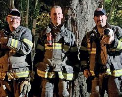 Firefighters save puppies from home vent after being alerted by worried mama dog