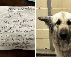 Dog found with heartbreaking note from homeless owner: ‘My mom can’t keep me’