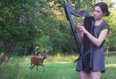 Harp Session Lures A Deer From The Woods For A Scene Straight From A Kid’s Movie