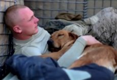 Soldier reunites with Army dog who saved his life after two years apart — watch their beautiful reunion