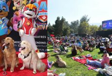 219 adorable dogs gather to break Guinness World Record at movie premiere
