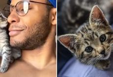 Kitten Loves Walking On Dad’s Shoulder