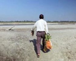 Meet the enthusiast who saved an island and got the animals back