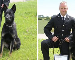 Police dog tracks down missing mother and baby on his first day on the job
