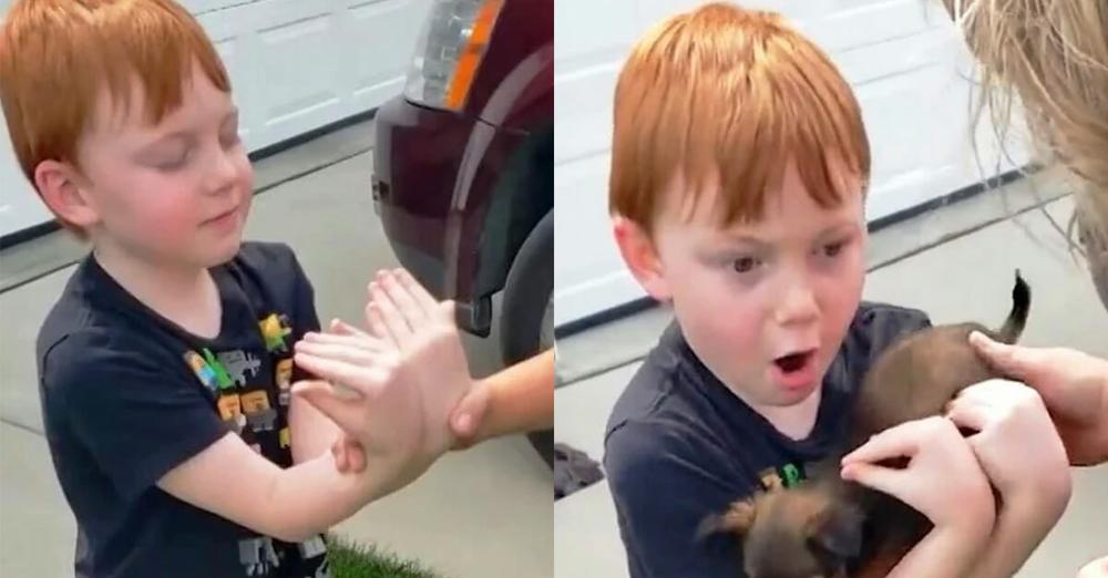 6-year-old saved his own money for 18 months to buy a puppy — his grandma’s surprise left him in tears