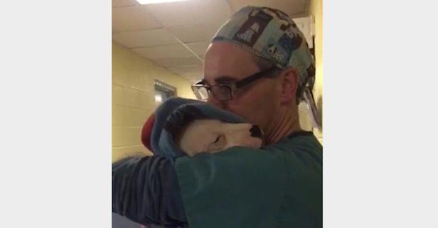 Vet Tenderly Comforts Scared Puppy After Her Surgery