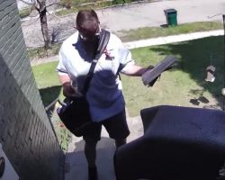 Postal Worker Takes Giant ‘Hulk’ Dog In Stride As He Delivers The Mail