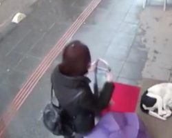 Woman Sees Stray Dog Shivering In The Cold And Gives Him Her Scarf