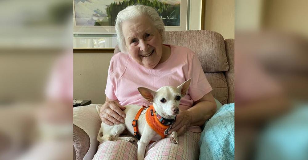 A perfect match: 11-year-old senior dog gets adopted by 100-year-old woman