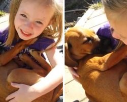 Girl Sings Lullaby to Puppy Her Family Just Adopted