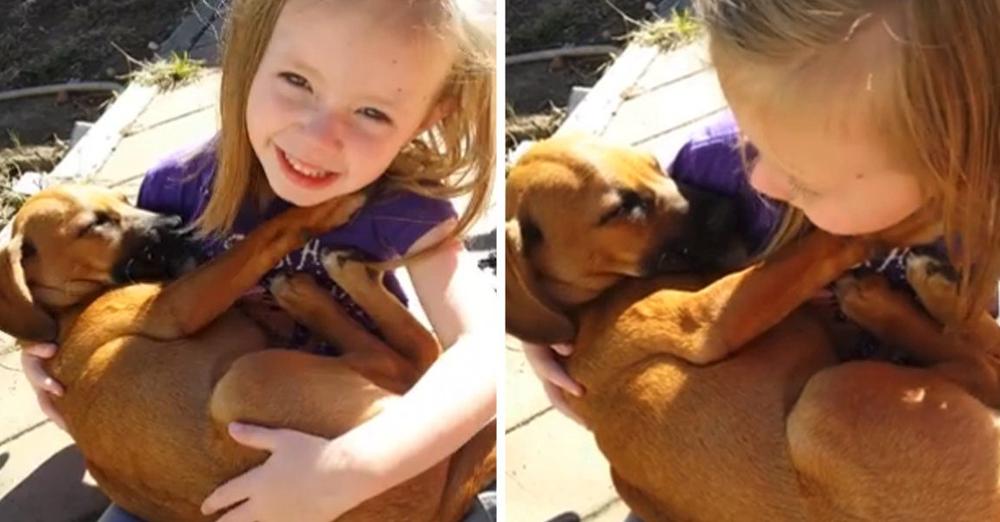 Girl Sings Lullaby to Puppy Her Family Just Adopted