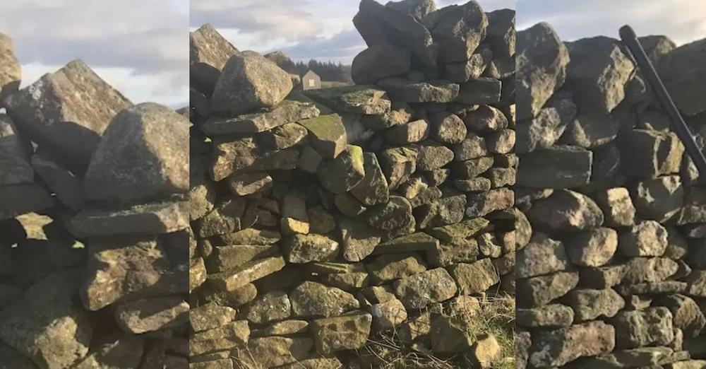 Dog Out On Walk Finds Cat Stuck In Wall, Refuses To Leave Until His Dad Agreed To Help