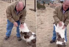 Grandpa Reunites With Daughter’s Deaf And Blind Dog After One Year Apart