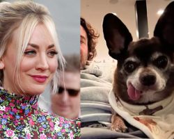 “Big Bang Theory” star Kaley Cuoco adopts senior rescue dog