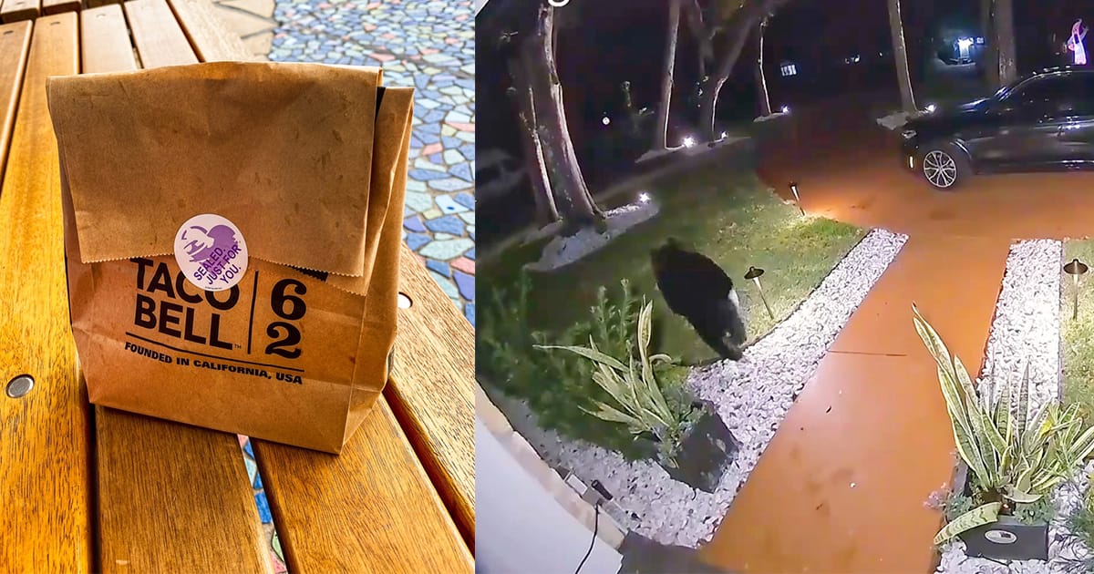 Hungry Florida bear steals $45 Taco Bell delivery off porch
