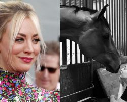 Kaley Cuoco shares touching tribute to her late horse Bella: “the horse of a lifetime”