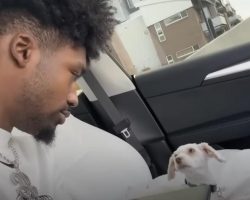 Colorado Football Player Finds Abandoned Dog and Kitten When He Goes for a Hike