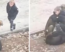 Stranger Sees Little Boy Stopping To Hug Some Street Dogs On His Way To School