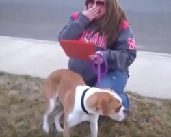 Adoptive family doesn’t show up for dog, then foster mom realizes she was set up