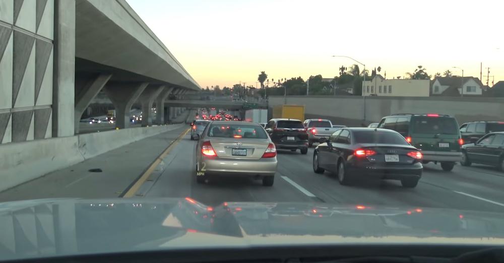 Out On The Freeway Was A Furry One Whose Chances Were Fading