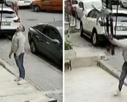 Man Heroically Catches Cat Falling From Building