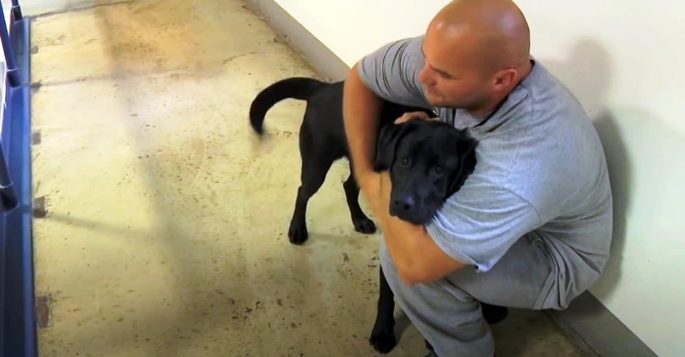 Dog Is Put Into Inmate’s Jail Cell, Inmate Sees The Dog And Swiftly Grabs Him