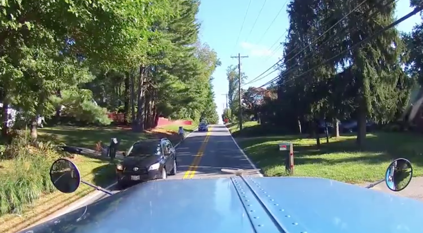 Trucker Stops When He Sees It Running Down The Middle Of The Road