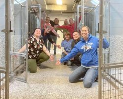 Pennsylvania shelter gets “Christmas miracle” after emptying shelter for first time in 47 years — congratulations