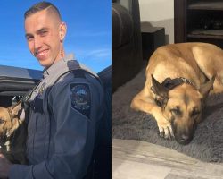 Trooper heartbroken after K9 partner was suddenly taken away from him — now he’s fighting to adopt her