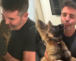 Simon Cowell adopts “new arrival,” adorable dog named Pebbles — see the precious photos