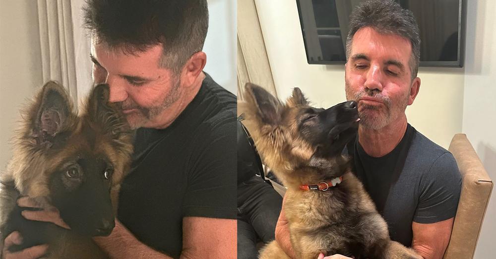 Simon Cowell adopts “new arrival,” adorable dog named Pebbles — see the precious photos