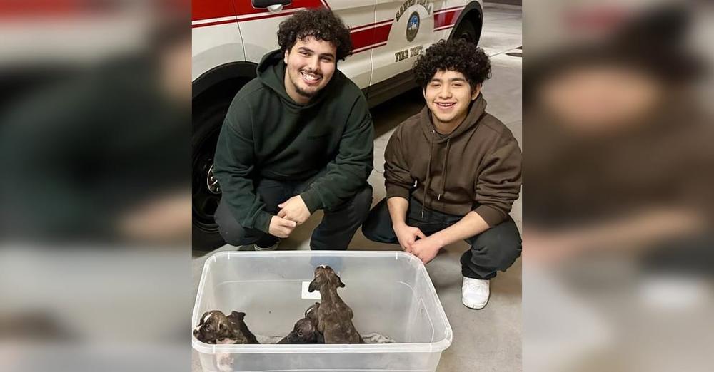 Teens find plastic bin full of abandoned puppies — do the right thing to save the day